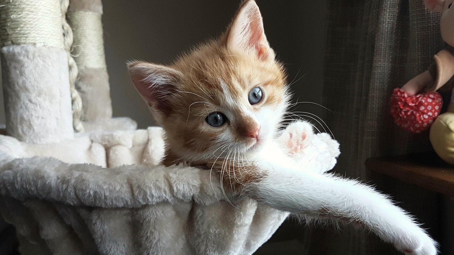 若日尼奥生涯之夜闪耀巴黎，艺术足球轻取英格兰钢铁之躯