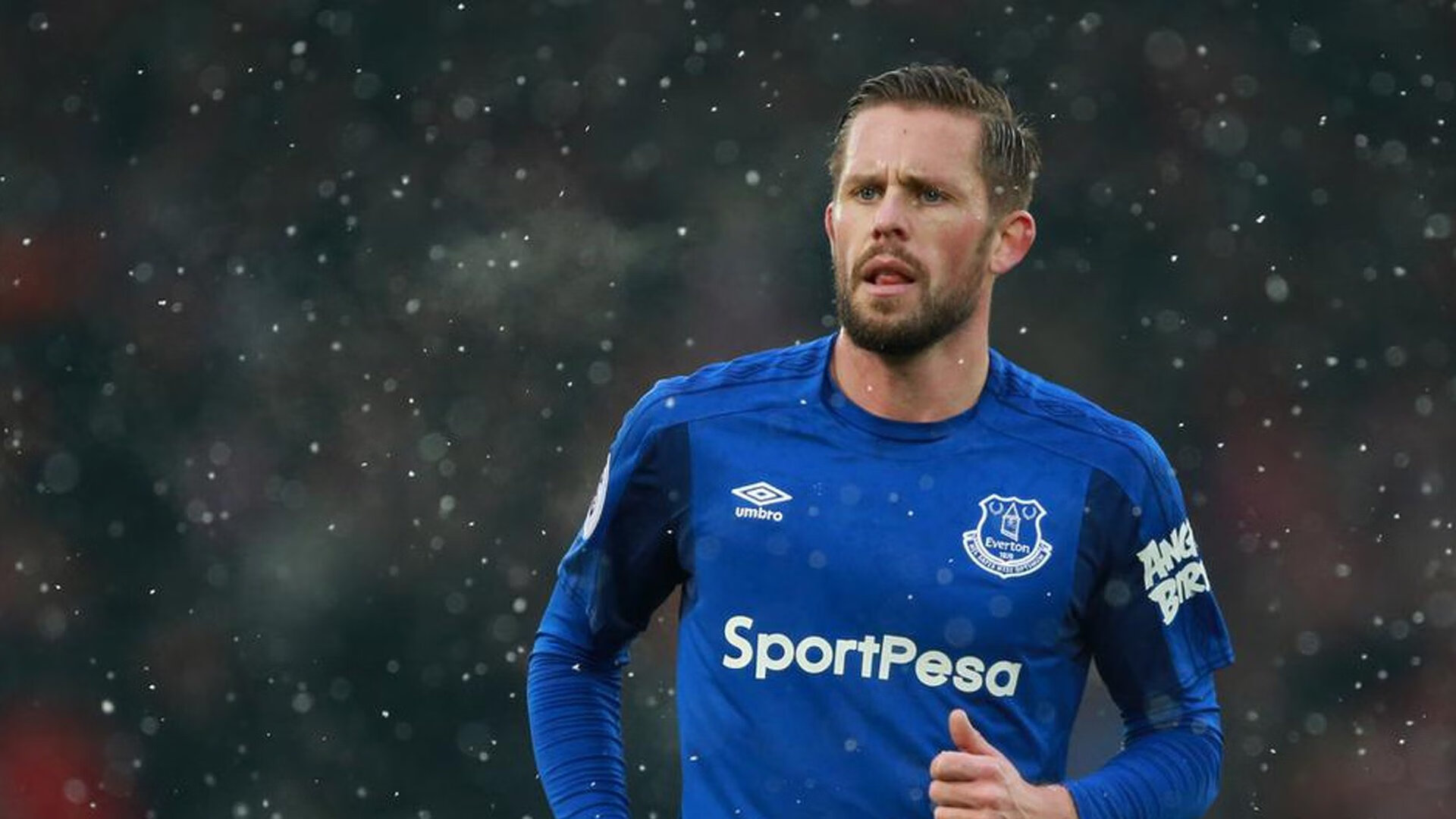 当利爪遇见蜂刺，武切维奇在风暴眼中雕刻稳定