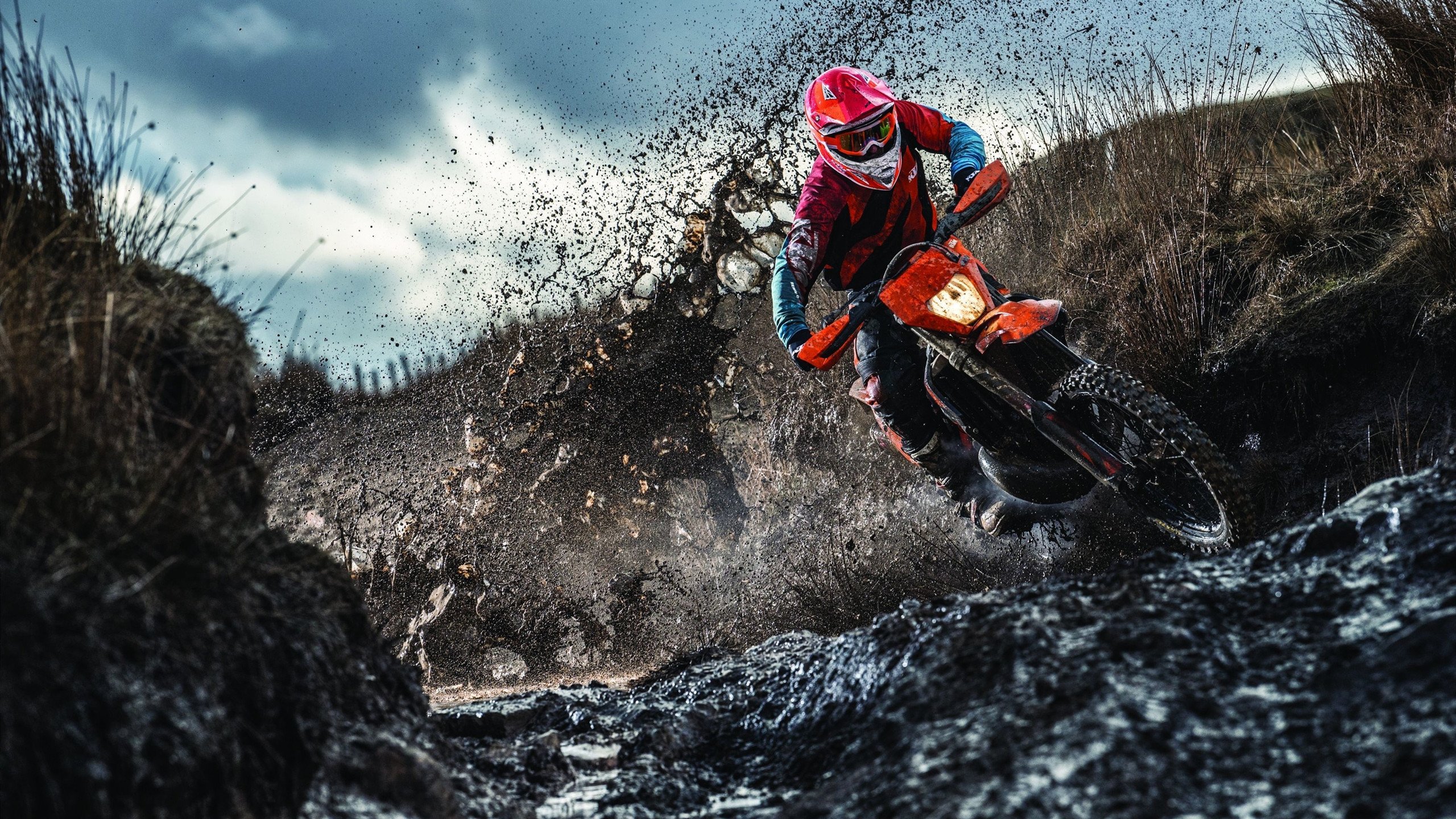 当利爪遇见蜂刺，武切维奇在风暴眼中雕刻稳定