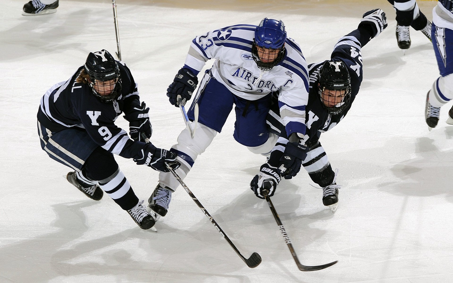 戴维斯杯鏖战拉沃尔杯，蒂姆领衔的团队精神如何重塑网球格局