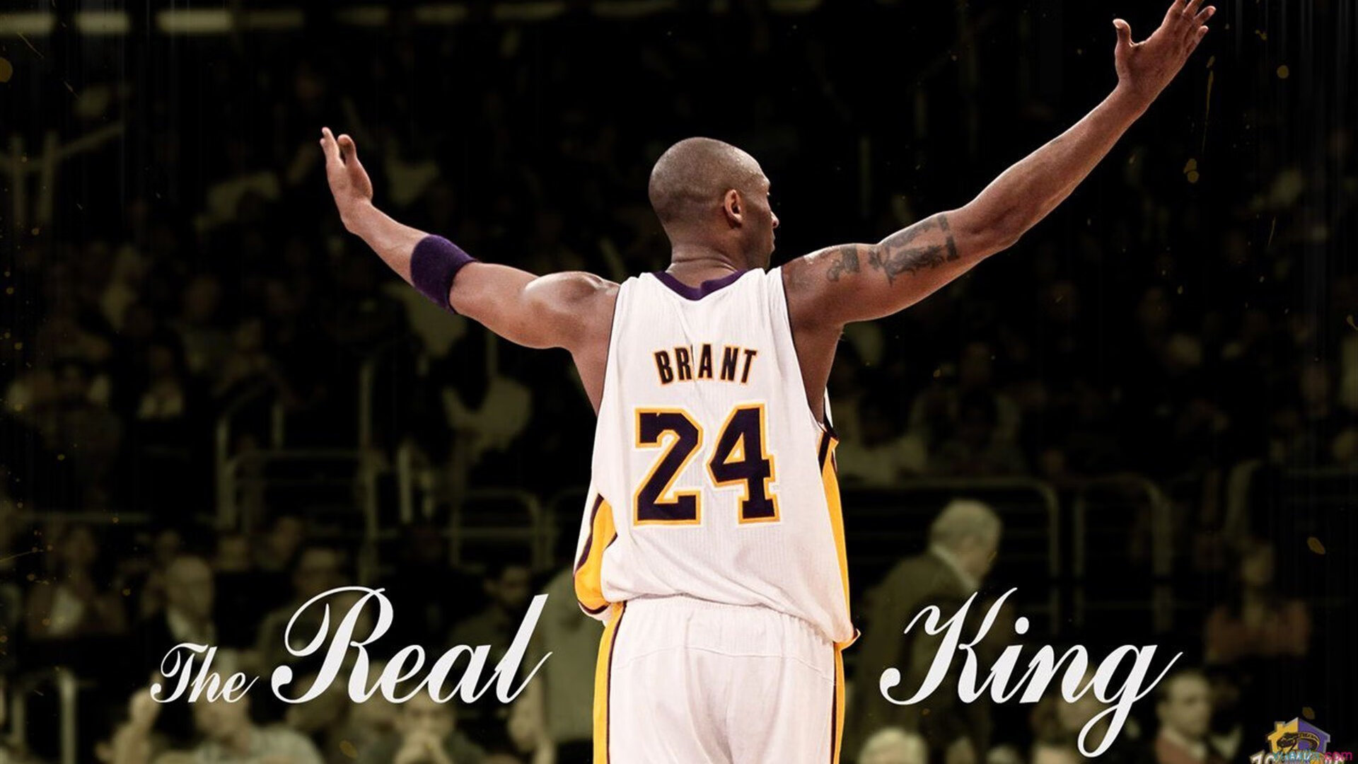 天山脚下，高诗岩惊艳四座！新疆队完胜爵士，展现中国篮球新力量